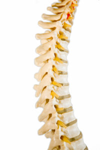 Chiropractor in Massapequa